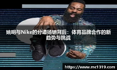 ac米兰官方网站